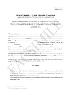 ministero sviluppo economico air gun area e